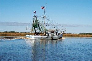 shrimp boat